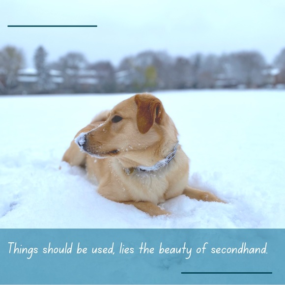 Meet Your Poshers, “Janice”. - Picture 1 of 1